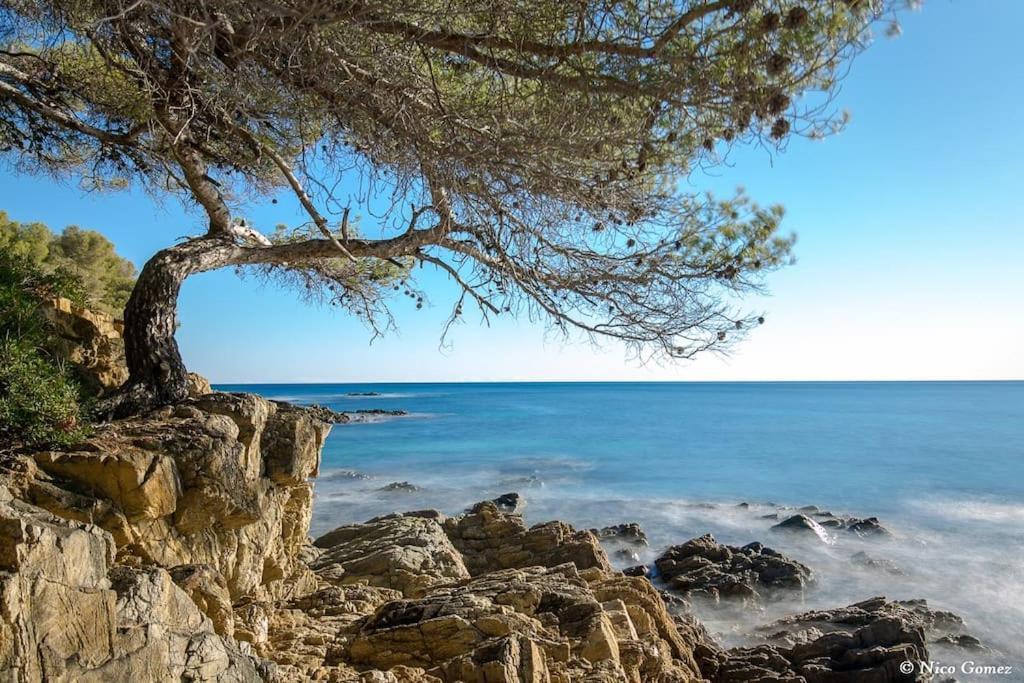 Roquebrune-Sur-Argens, Villa 2 Pieces, 4 Personnes Buitenkant foto